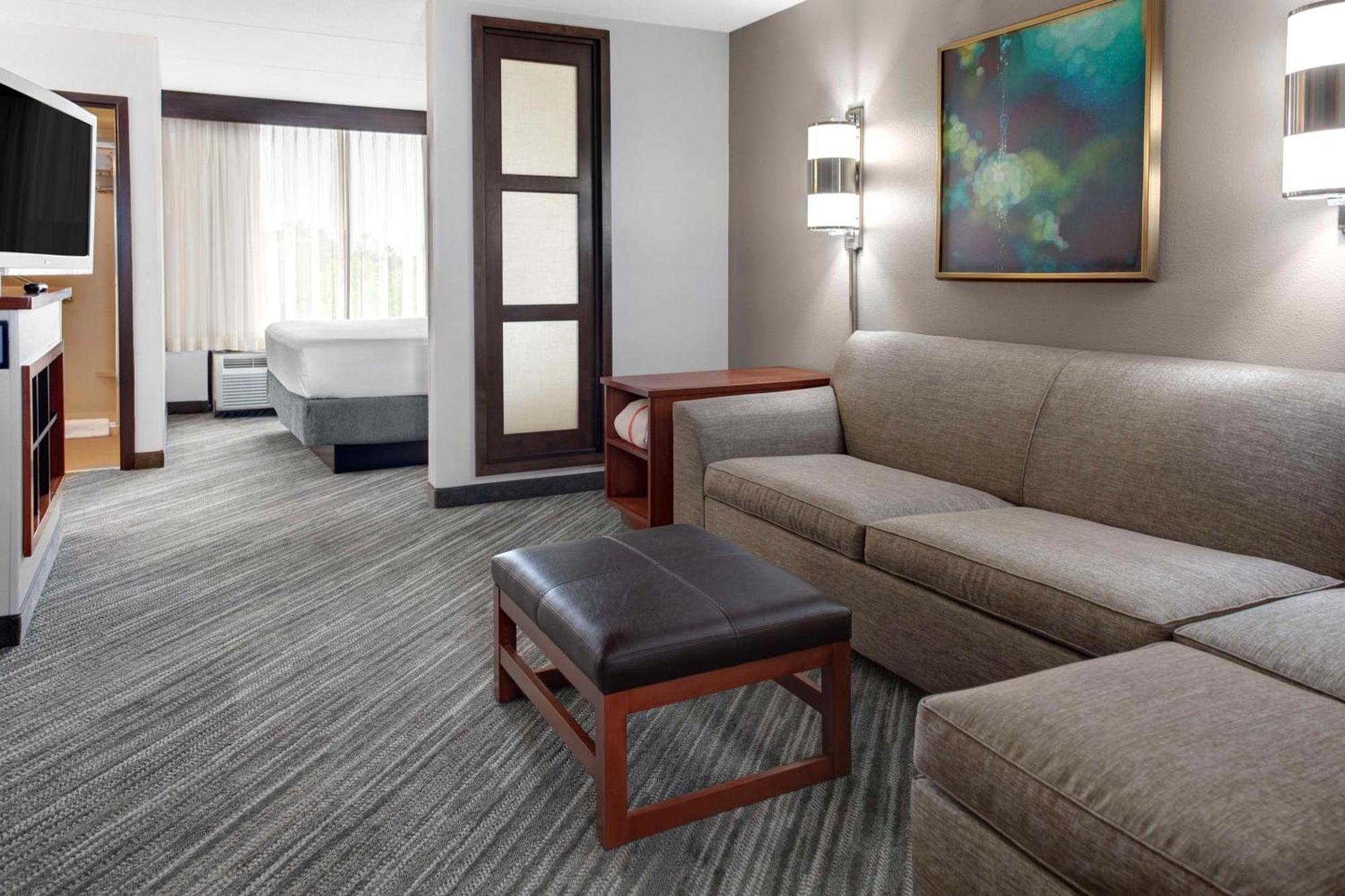 King Room Sofa Bed